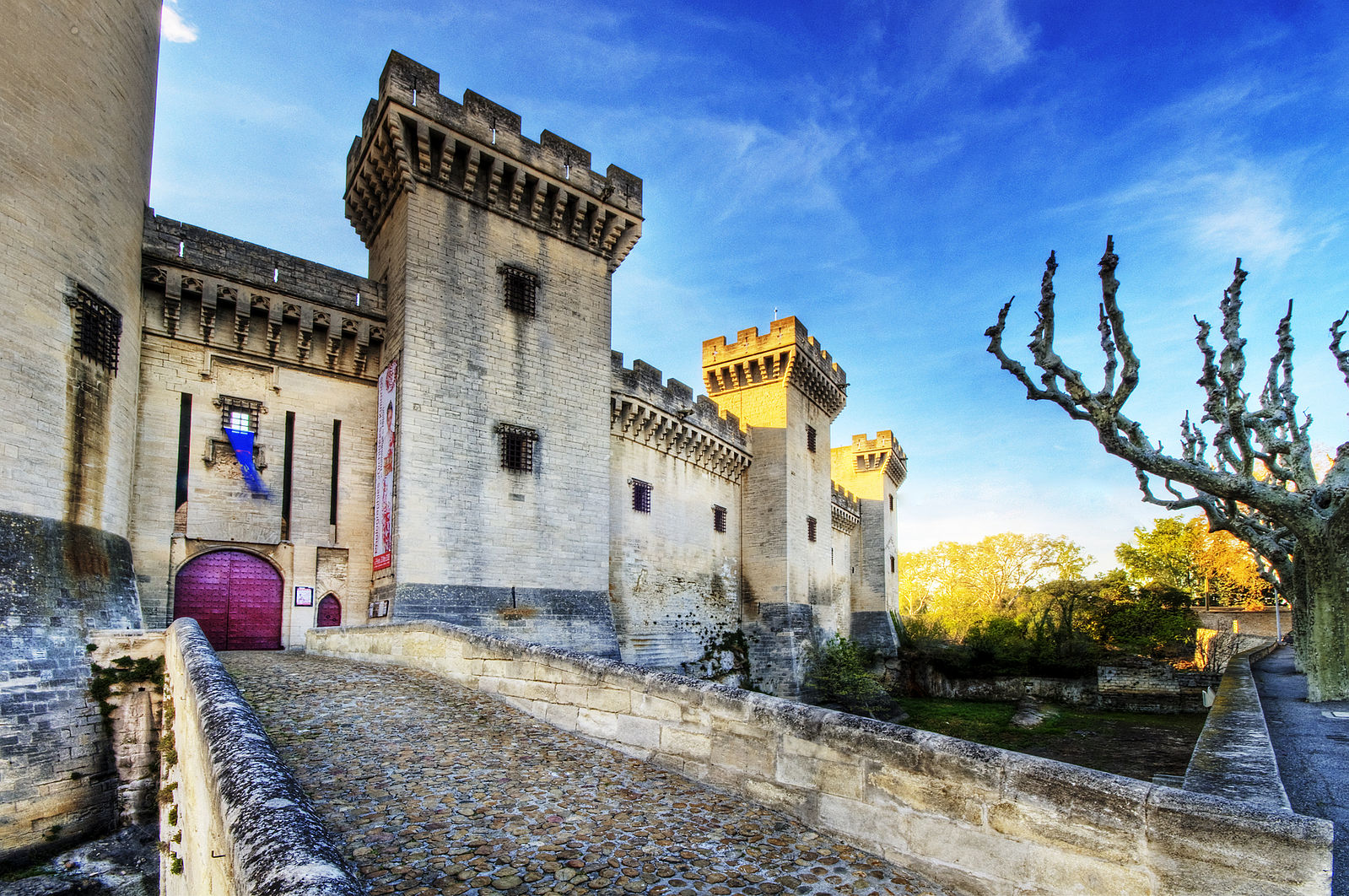 Château de Tarascon||||