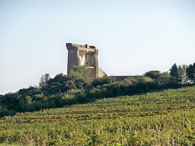 Chateau de Chateauneuf