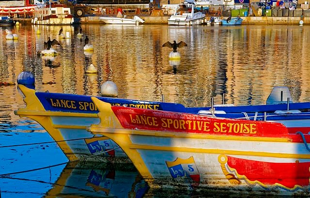 Les joutes Provence