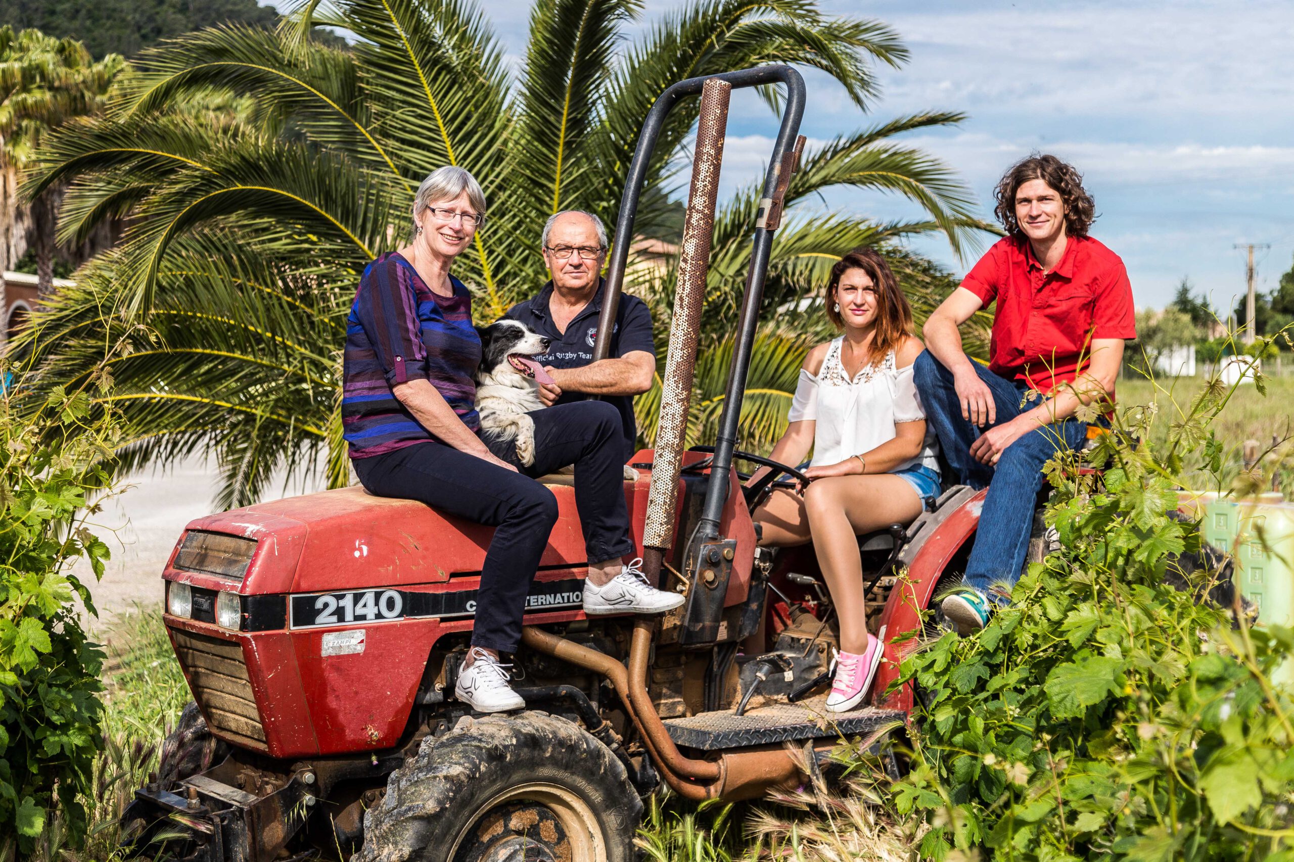 |Domaine Bouisse-Matteri|||