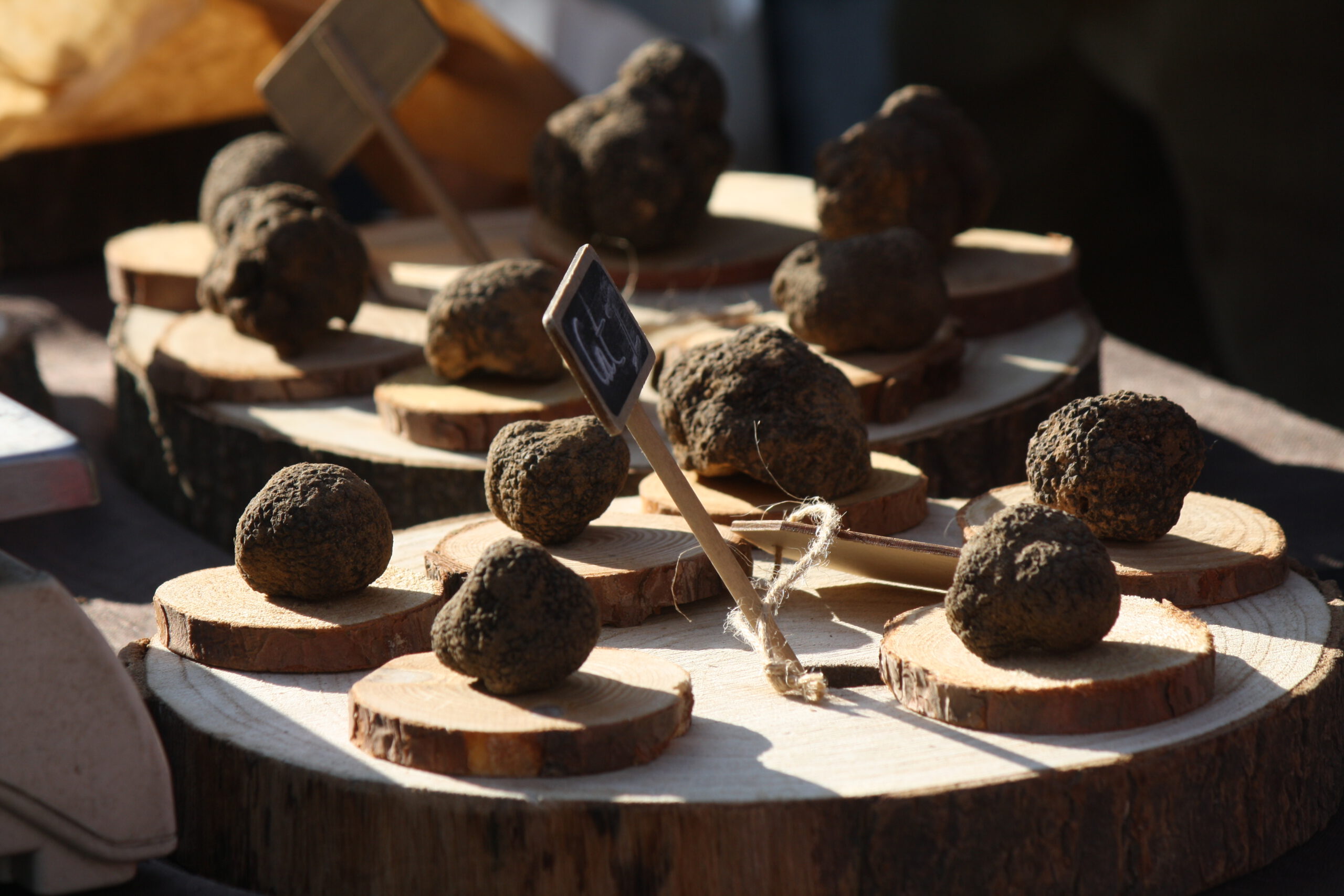 Truffelmarkt Vaucluse|||||truffelmarkt Vaucluse|||