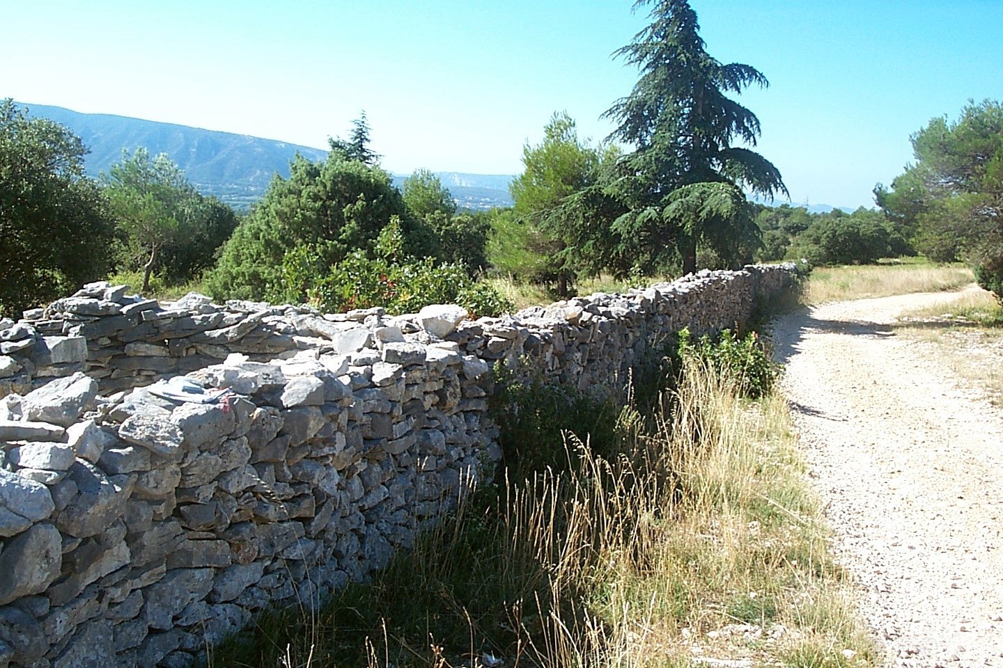 provencaalse muur||||