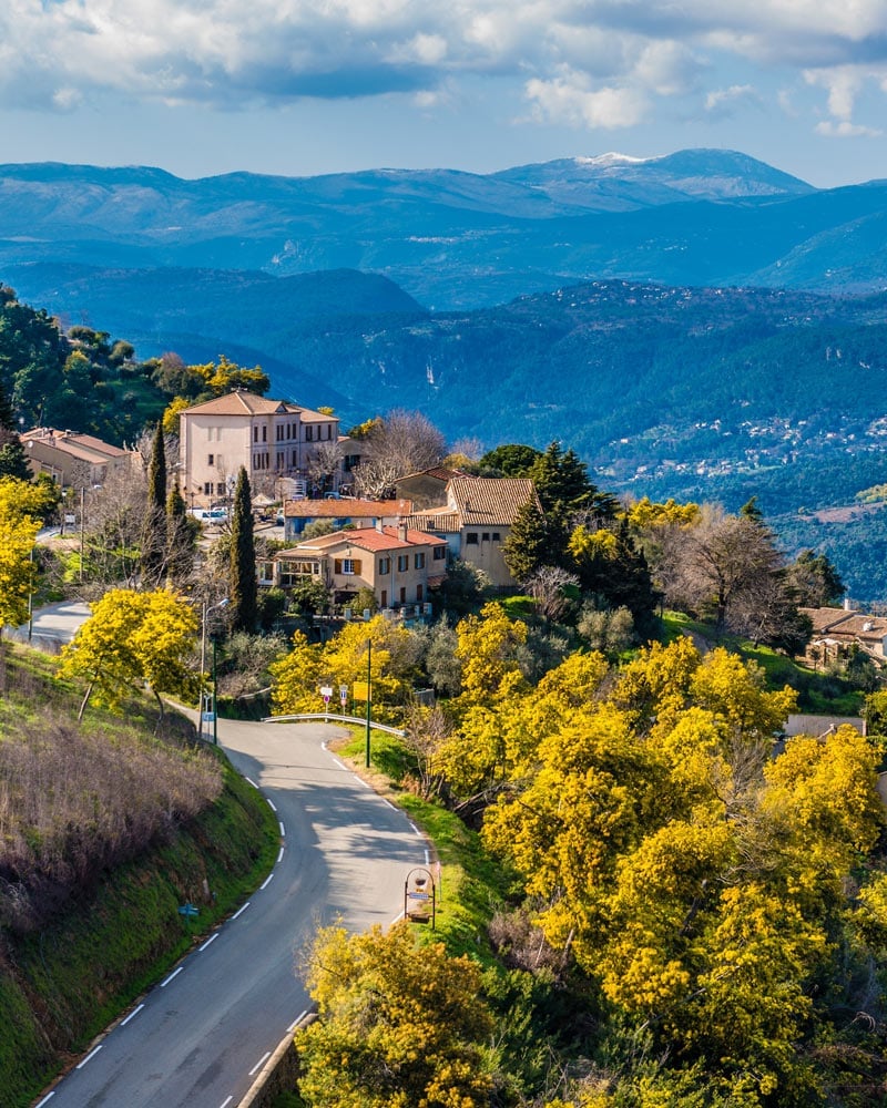 Route du Mimosa||